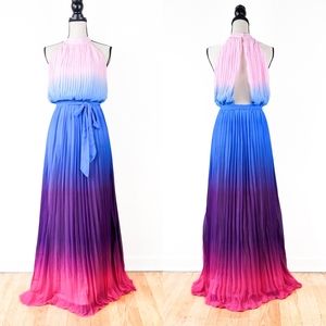 🦋LAST🦋 NWT Jealous Tomato Ombre Pleated Gown, Size Medium
